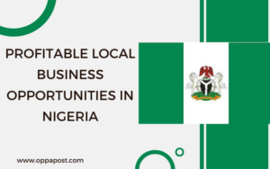 PROFITABLE LOCAL BUSINESS OPPORTUNITIES IN NIGERIA