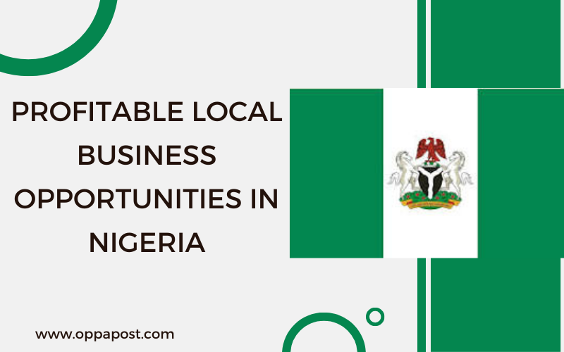 PROFITABLE LOCAL BUSINESS OPPORTUNITIES IN NIGERIA