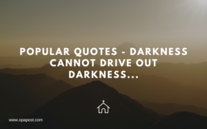 Popular quotes - Darkness cannot drive out darkness...