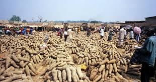 Top 10 yam producing states in Nigeria